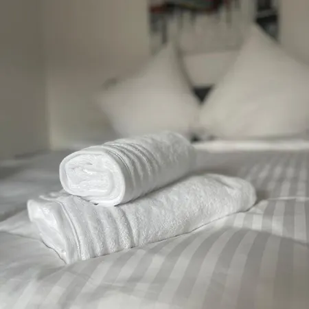 Royal Guest house Lunca de Sus